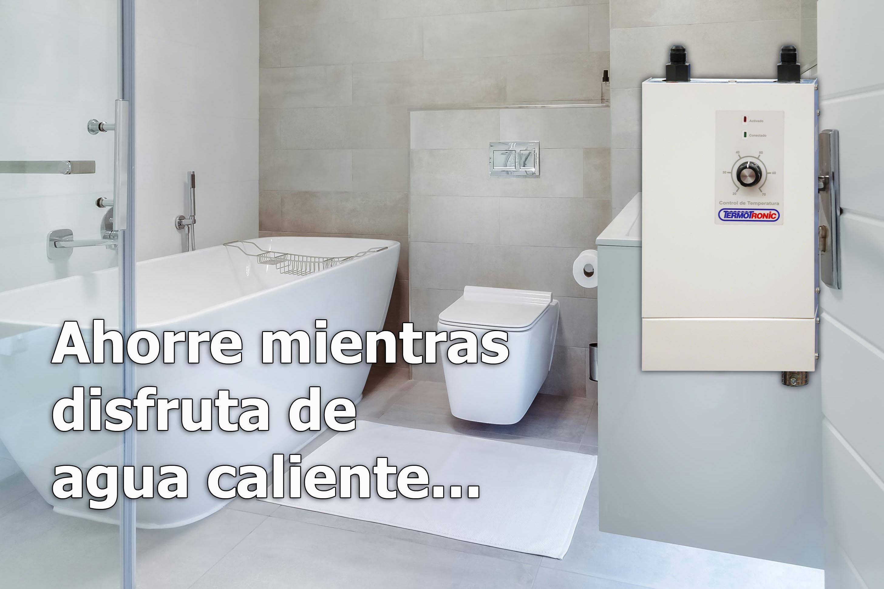 Termotronic tankless water heater