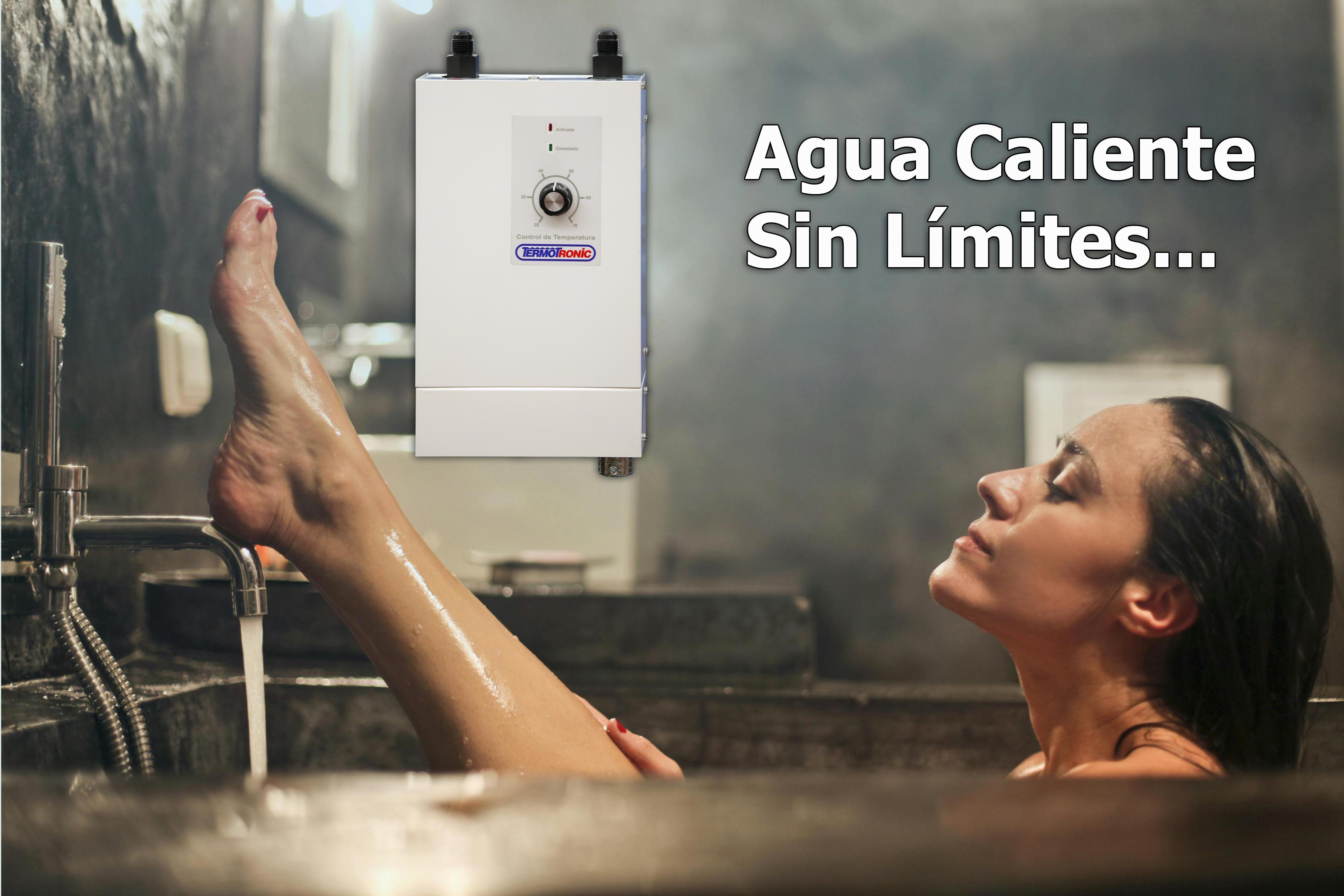 Termotronic tankless water heater